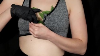 Nettles in Bra whipped with nettles and Holly