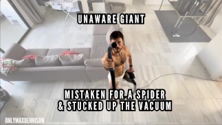 Unaware giant - trapped on spiders web and sucked up the vacuum