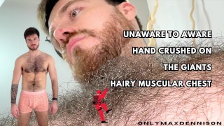 Unaware to aware hand crush on the giants muscular hairy chest