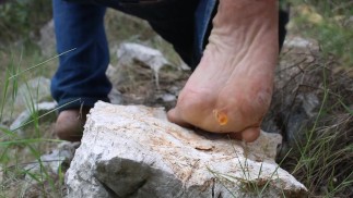 Tiny gummies crushed and swallowed