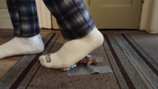 All Day as a Giant's Doormat!